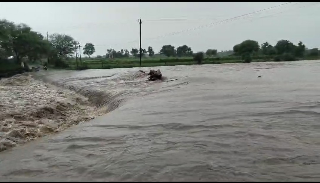 Agar malwa news: जिले में भारी वर्षा का दौर जारी, नदी-नाले हुए उफान पर, कई गांव का जिला मुख्यालय से टूटा संपर्क