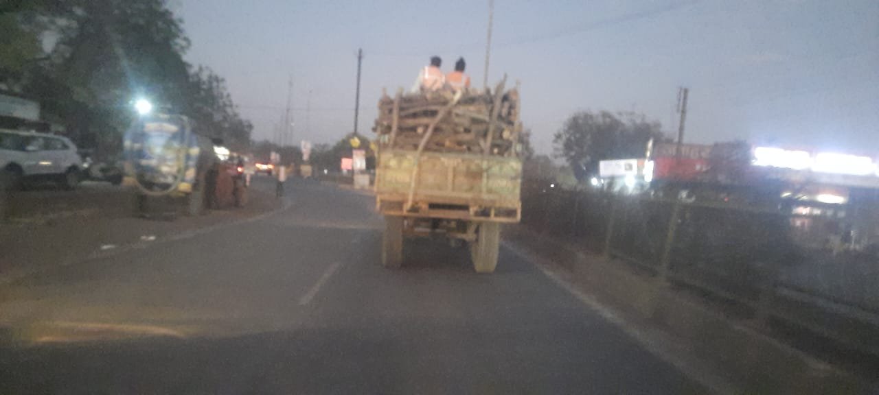 आगर मालवा में विभाग की मिली भगत से चल रही पुष्पा जैसी सिंडिकेट, अवैध रूप से की जा रही अंधाधुंध पेड़ों की कटाई