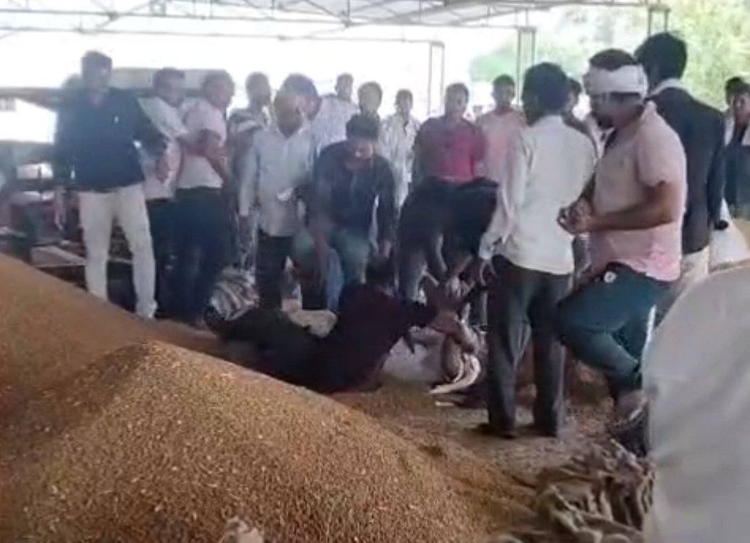 कृषि उपज मंडी में व्यापारियों के बीच चले लात-घुसे, जमकर हुई मारपीट, वीडियो हुआ वायरल