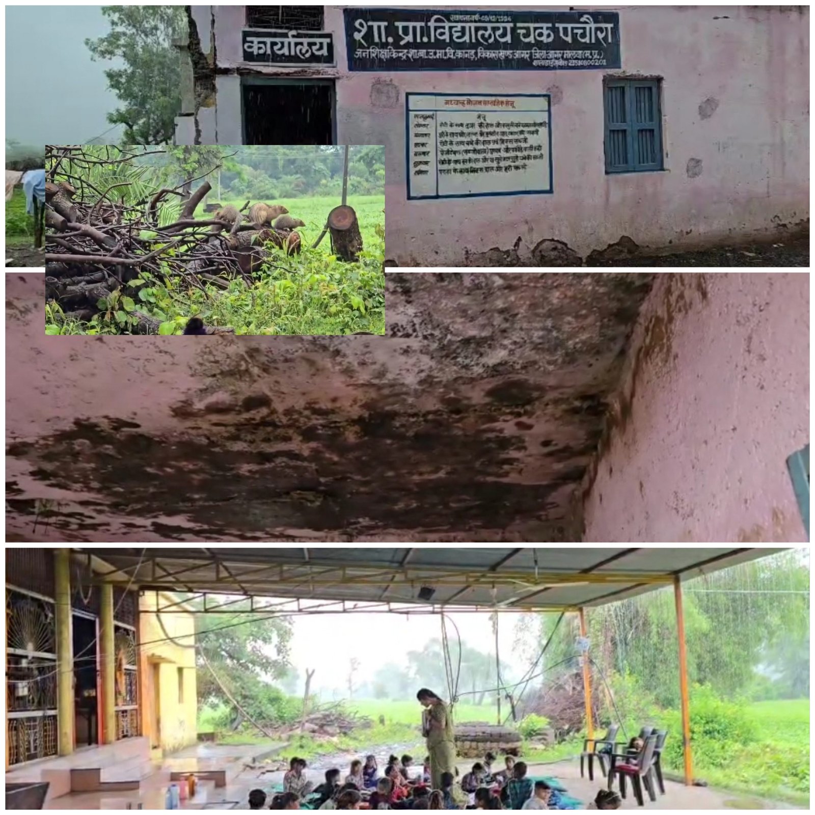 बारिश में टपकती जर्जर स्कूल की छत, चारों ओर जहरीले जानवरों के बीच नन्हालों का भविष्य, मंदिर में चल रहा स्कूल, देखिए आगर मालवा जिले की खबर