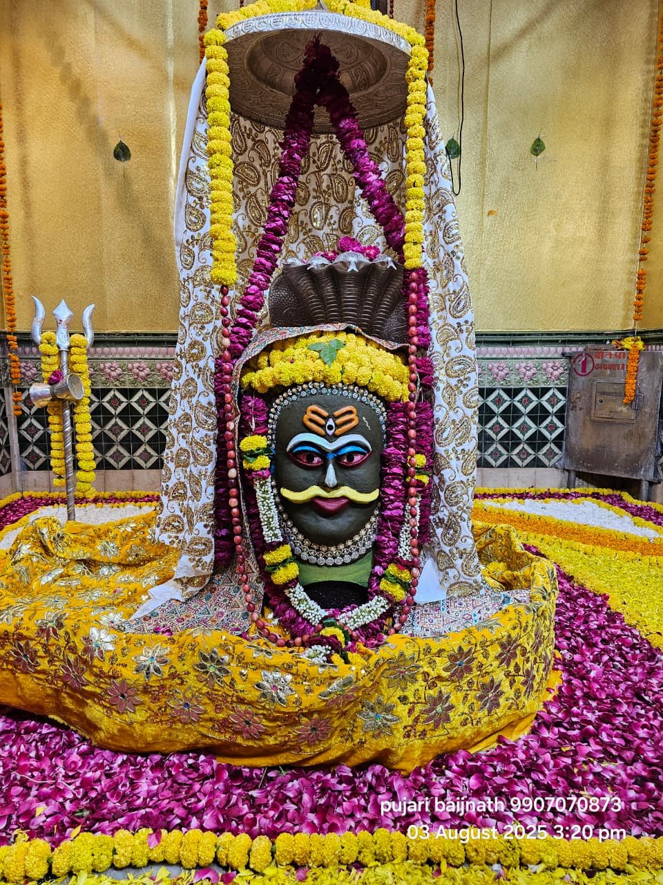 आकर्षक झांकियां एवं अखाड़े के साथ ठाठबाट से सोमवार को निकलेगी बाबा बैजनाथ की शाही सवारी, एक लाख से अधिक भक्त होंगे शामिल