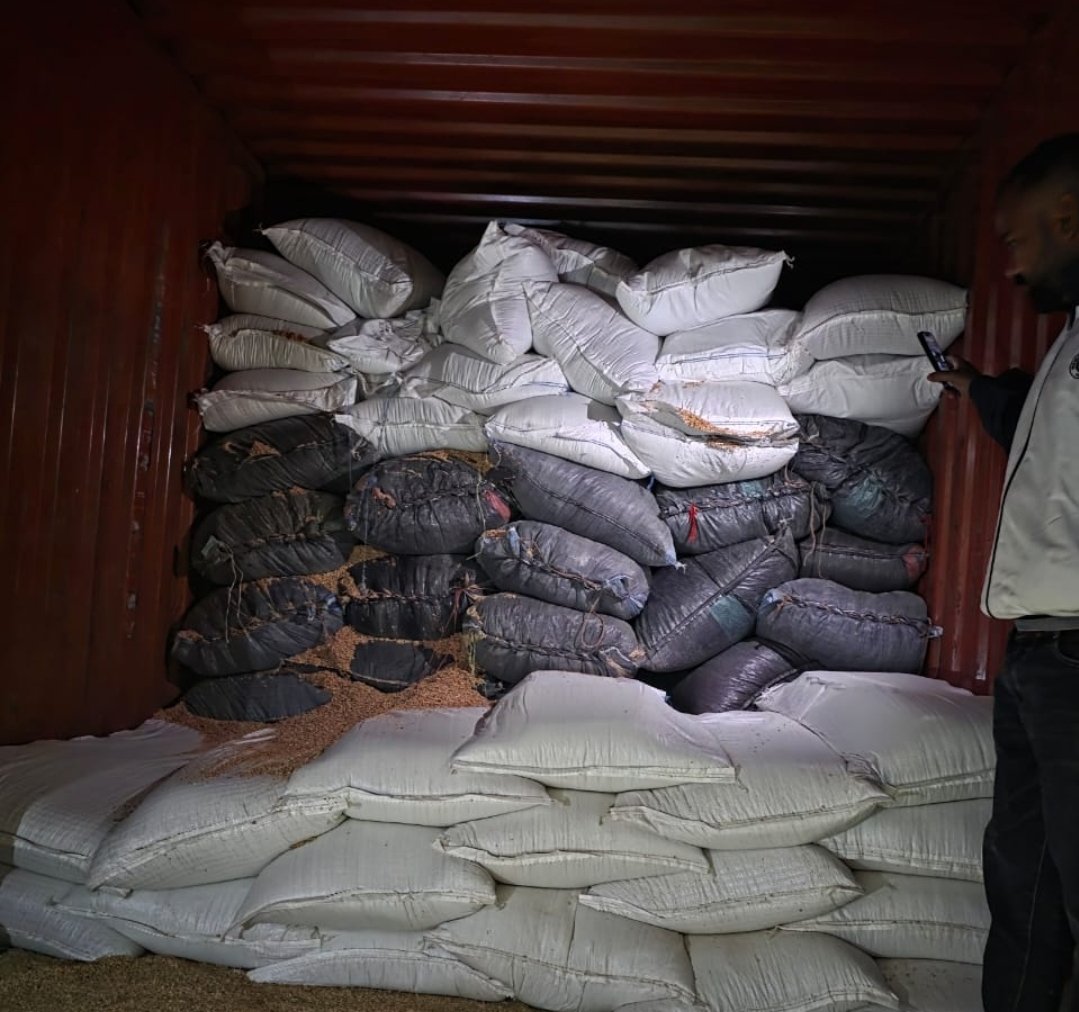 पुष्पा मूवी के तर्ज पर तस्करी, भूसे के बीच में डोडाचूरा का परिवहन, आगर कोतवाली पुलिस ने की बड़ी कार्रवाई, 1 करोड़ 53 लाख का मशरूका जप्त