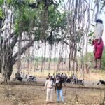 आगर मालवा: बाबा बैजनाथ महादेव मंदिर के पीछे बढ़ के पेड़ पर फांसी पर झूलता मिला शव, वेशभूषा से कोई साधु प्रतीत, हत्या या आत्महत्या पुलिस कर रही जांच!