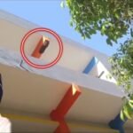 Agar malwa: सोयत कला में दर्दनाक हादसा, मधुमक्खियों के हमले में 9 वर्षीय छात्र की मौत, कई बच्चे घायल!