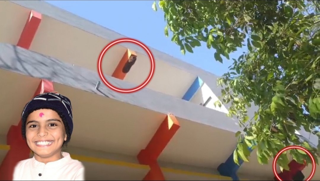 Agar malwa: सोयत कला में दर्दनाक हादसा, मधुमक्खियों के हमले में 9 वर्षीय छात्र की मौत, कई बच्चे घायल!