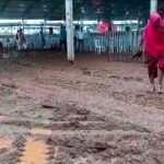 सीएम की सभा में अव्यवस्था: कीचड़ से होकर गुज़रे लोग, महिलाओं को उठानी पड़ी भारी परेशानी, आगर जिला प्रशासन की गंभीर लापरवाही, बारिश के बाद सभास्थल पर नहीं किए गए पर्याप्त इंतजाम