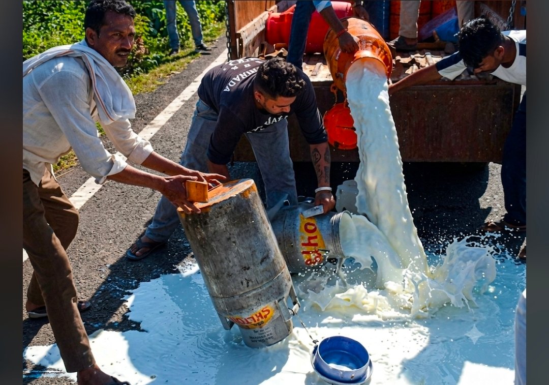 आगर मालवा: दूध विक्रेताओं ने किया प्रदर्शन शुरू, नियम नहीं मानने वाले का दूध बीच रोड़ पर बहाया, 100 रुपए लिटर ओर फेंट 12 रुपए की मांग